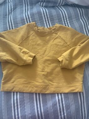 Mustard Yellow Cropped Crewneck Sweatshirt